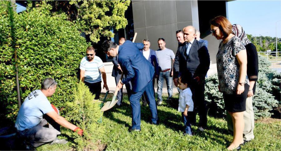 GÜNÜN ANISINA  FİDAN DİKİLDİ....
