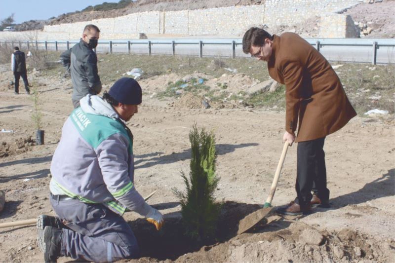 FİDANLAR TOPRAKLA BULUŞTU...