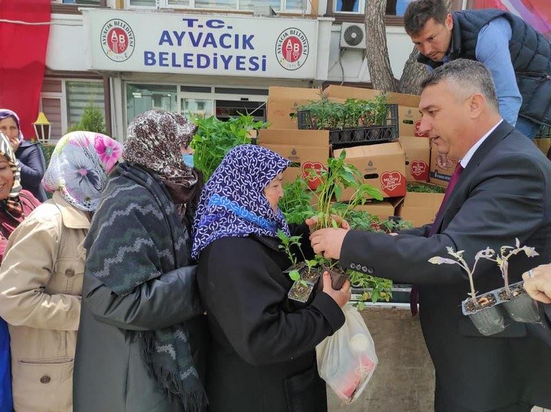 AYVACIK BELEDİYESİ 10 BİN SEBZE FİDESİ DAĞITTI...